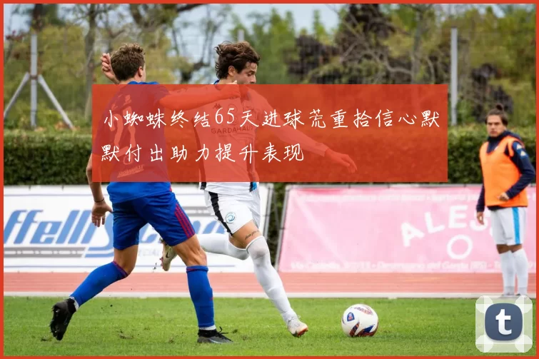 小蜘蛛终结65天进球荒重拾信心默默付出助力提升表现